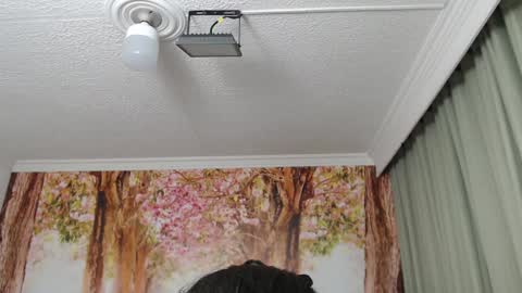 Hellen online show from 12.19.24