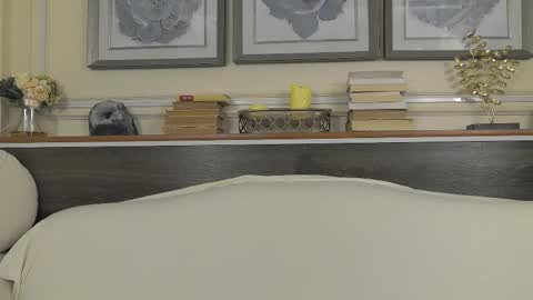    online show from 01.17.26