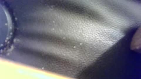 Snapshot of hellobunbunx0 chatting on 12.24.24 hellobunbunx0 online show from 12.24.24