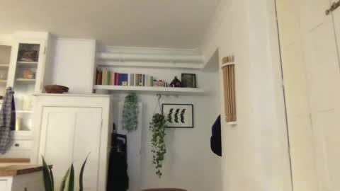 Lucas online show from 01.03.25