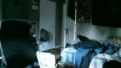 longhairbeardedguy online show from 04.10.26