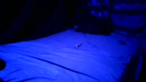 SissyNutsBustedCounter online show from 04.23.26