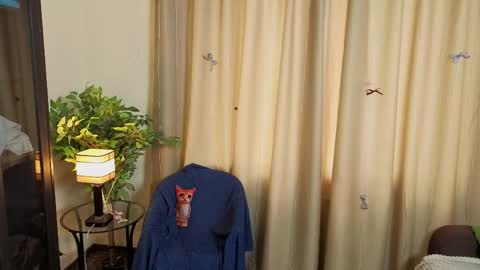 Jane online show from 05.16.26