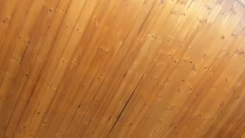 Noraly  online show from 02.04.25