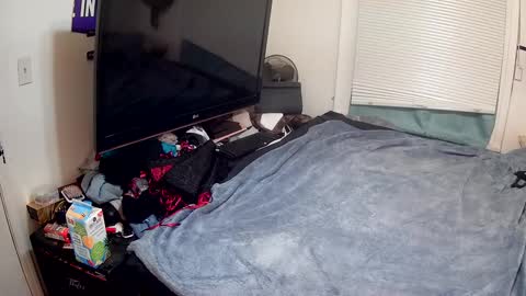 Highnesscali37 online show from 12.15.24