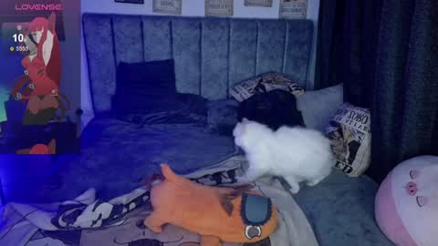 Inori Independent model online show from 04.04.26