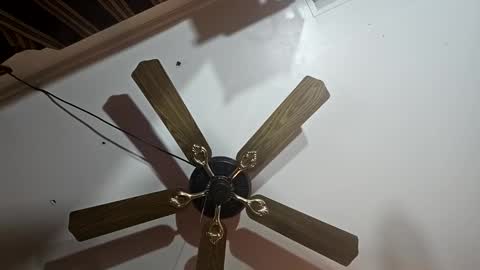 hoglegg99384194 online show from 01.13.25