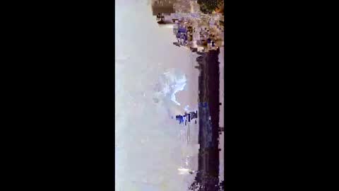 hoglegg99384194 online show from 01.15.26