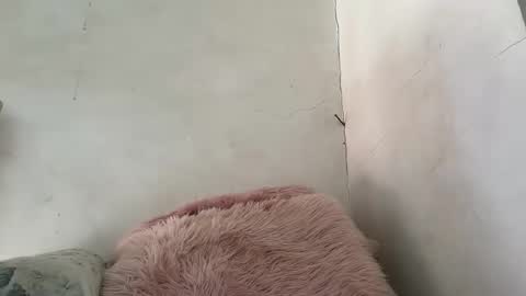 holly_wyn online show from 03.24.26