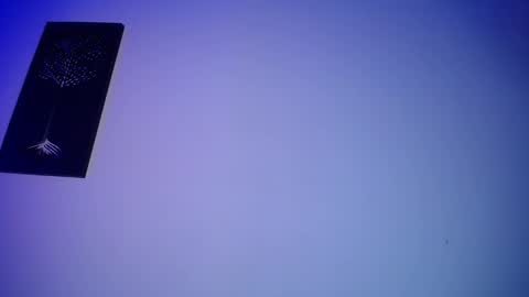 Honney online show from 02.14.25