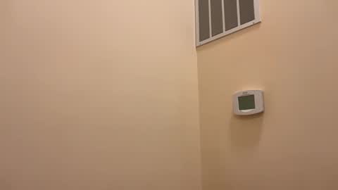 honey_man14 online show from 02.26.26