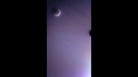 honeybear2026 online show from 12.22.25