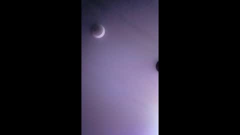 honeybear2026 online show from 01.19.26