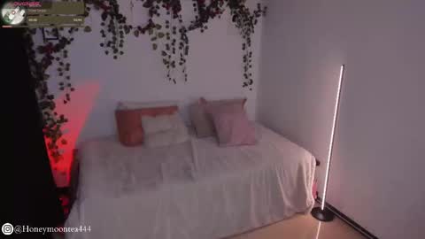       online show from 02.24.25