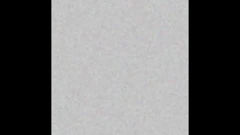 HoneyVelourTS online show from 02.26.26