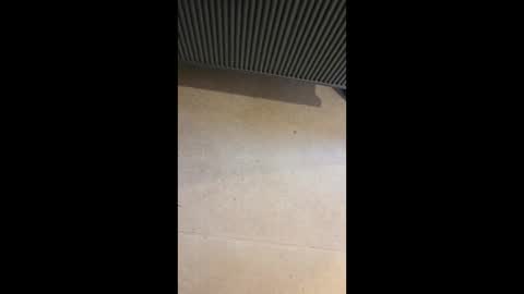 horny4more691 online show from 03.10.26