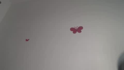 Iris online show from 12.04.25