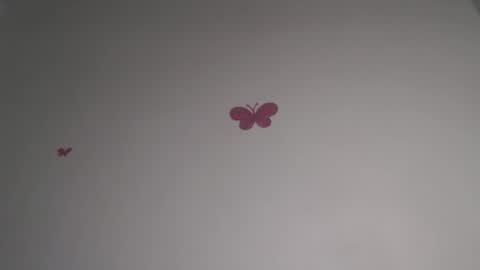 Iris online show from 02.05.26