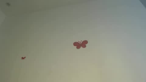 Iris online show from 04.03.26