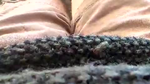 Tiny cock online show from 01.18.26