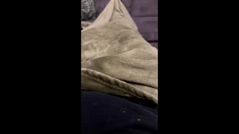 hornybear420420420 online show from 03.06.26