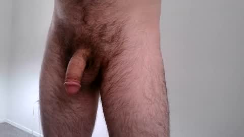 Snapshot of hornynhairyman chatting on 03.12.25 newdadwhodis online show from 03.12.25