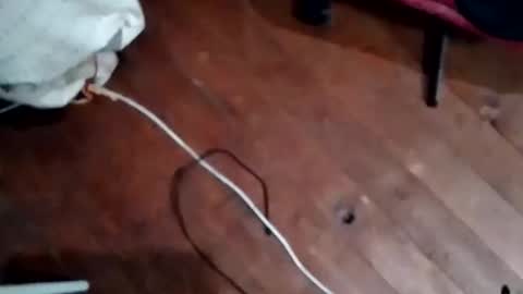 hornypaul84 online show from 11.05.25