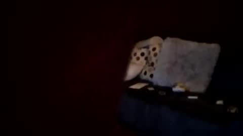 hornypaul84 online show from 01.07.26