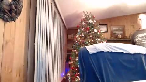 horsebigballs online show from 01.20.25