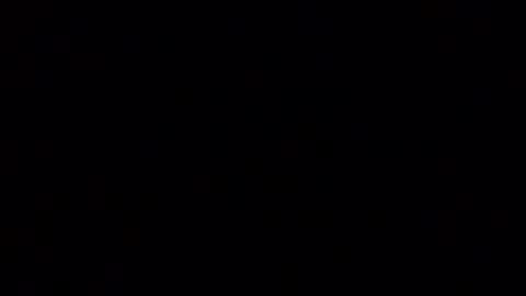 horsebrowm online show from 01.02.25