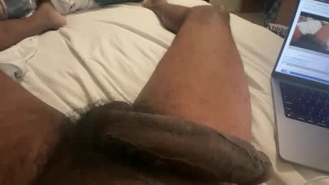 Bbc horsey online show from 02.16.25