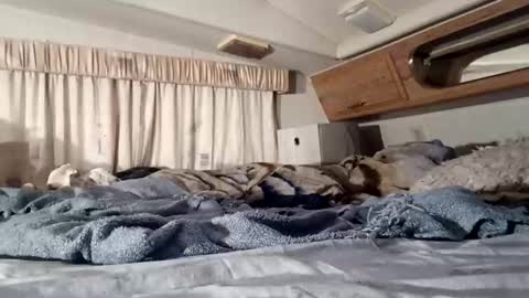 HotAmyMike online show from 11.11.25