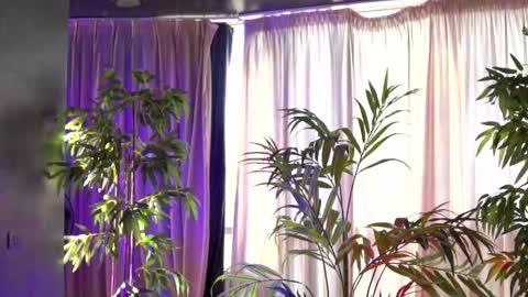 Snapshot of hotbustybabex chatting on 09.21.25 Anais online show from 09.21.25