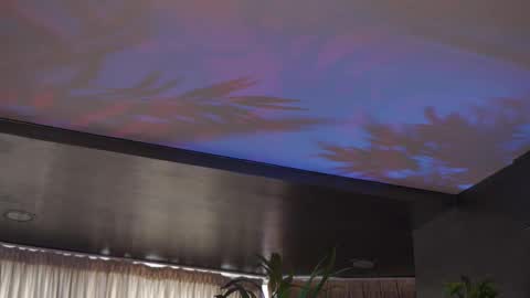 Anais online show from 03.20.26