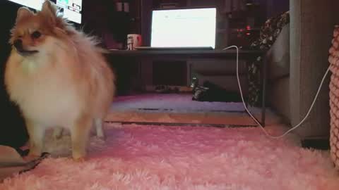 Snapshot of hotgirlbigbutt chatting on 01.17.26 hotgirlbigbutt online show from 01.17.26