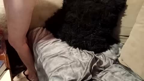 hotpepperose online show from 05.19.26