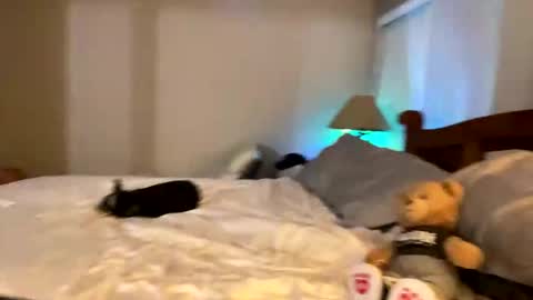 Snapshot of hottiewithabody101 chatting on 04.11.26 hottiewithabody101 online show from 04.11.26