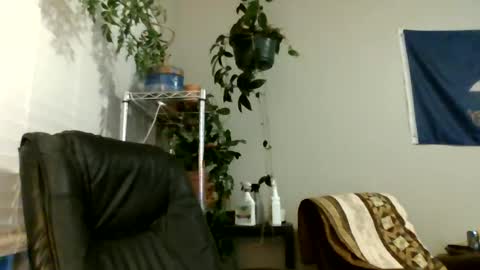 Hottop 1981 online show from 07.06.26
