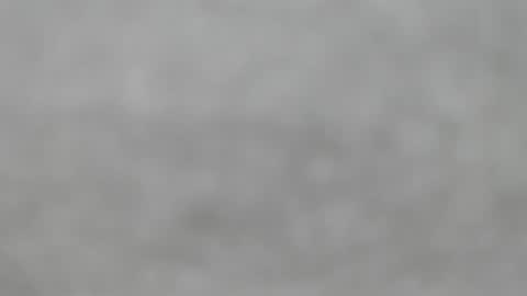 Slutty little female cat online show from 05.24.26