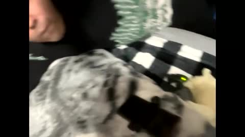 htfsb online show from 02.15.26