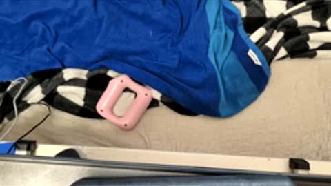 htfsb online show from 03.17.26