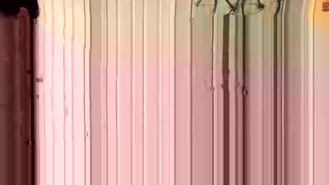 Snapshot of hudsondustin175 chatting on 11.30.25 Tito1010 online show from 11.30.25