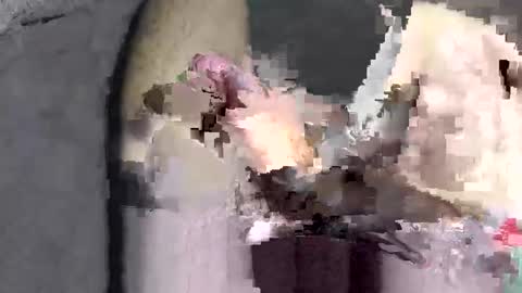 Huge dick online show from 12.02.25