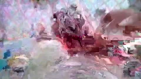 Huge dick online show from 03.08.26