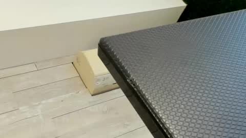 Erin online show from 03.03.25