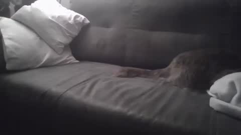 huguit026 online show from 02.04.25