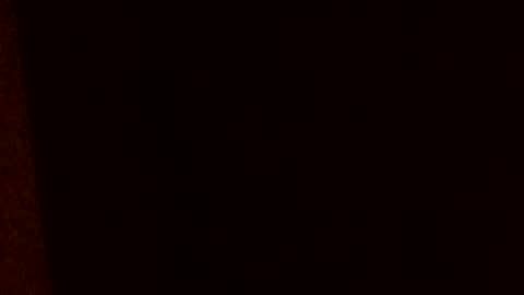 Snapshot of huidos2006 chatting on 02.17.26 huidos2006 online show from 02.17.26