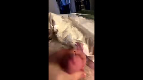 hungminer69 online show from 05.28.26