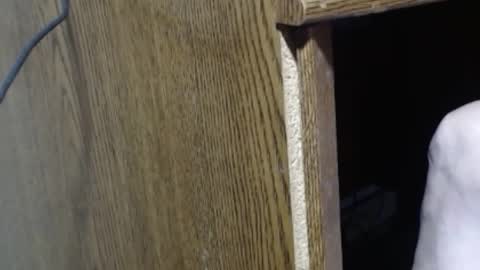 hungsofine online show from 12.29.24