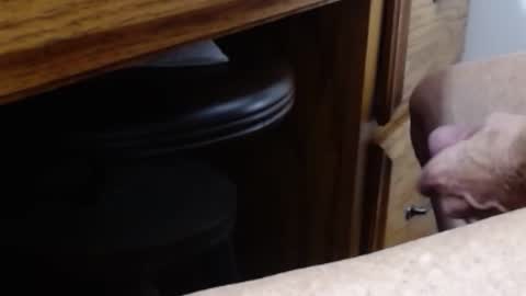 hungsofine online show from 01.11.26